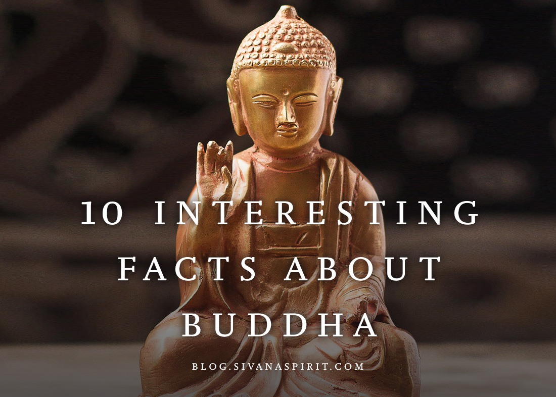 interesting facts about buddha