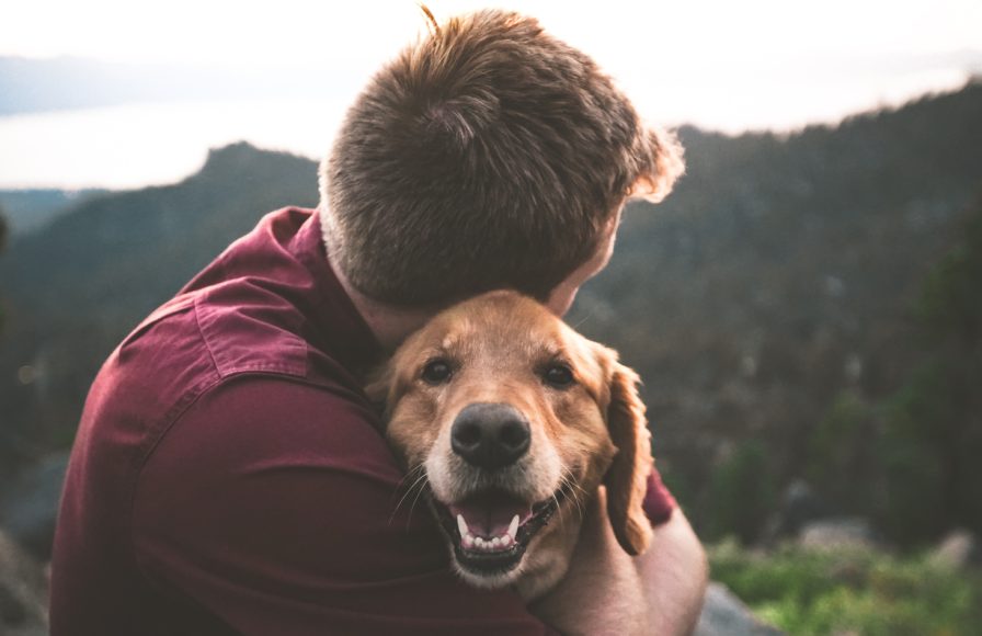 How Emotional Support Animals Help In Fighting Depression