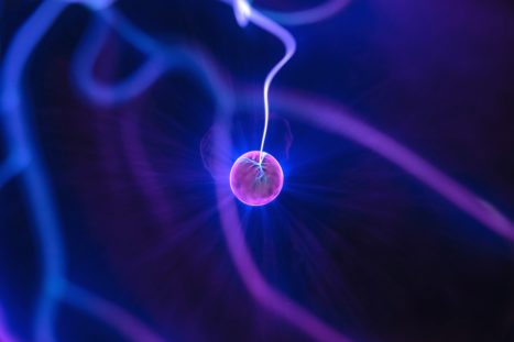 The New Science On The Hippocampus, Self-Esteem, And Physical Health